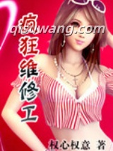 疯狂维修工小说