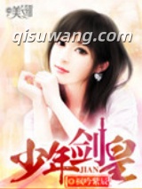 少年剑皇小说