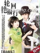轮回艳福行小说