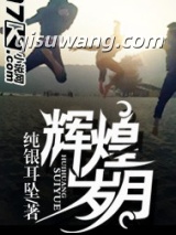 辉煌岁月小说