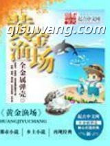 黄金渔场小说
