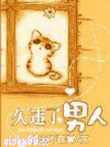 末日黎明小说