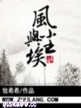 风与尘埃小说