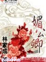 灵核文明小说
