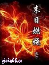 末日燃烧小说