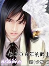 3008年的武士小说