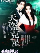 天盗克星小说