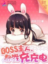 BOSS主人，帮我充充电小说