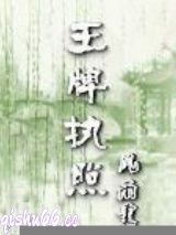 王牌执照小说