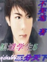 黑道学生5三分天下小说