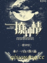 一撩钟情小说