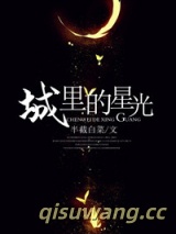 城里的星光[娱乐圈]小说