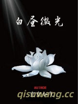 白昼微光小说