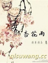 杏花雨小说