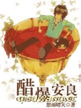 醋爆安良小说