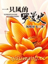 一只凤的罗曼史小说