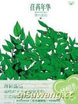 荏苒年华（出版书）小说