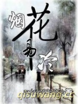 烟花易冷小说