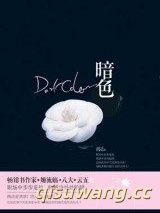 暗色（出书版）小说