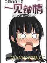 一见钟情小说