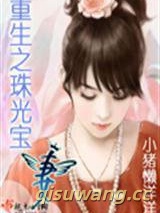 重生之珠光宝妻小说