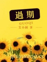 过期（出书版）小说