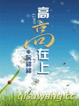 高高在上（高干文）小说