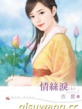 情丝泪小说