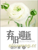 弃旧迎新小说