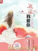 我恨我爱你小说