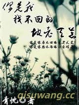 你是我找不回的地老天荒小说