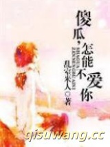 傻瓜，怎能不爱你小说