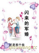 闪来的军婚小说