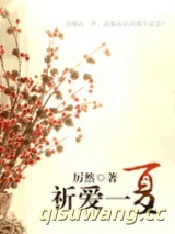 祈爱一夏小说