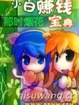 小白赚钱宝典小说