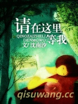 请在这里等我小说