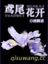 鸢尾花开小说