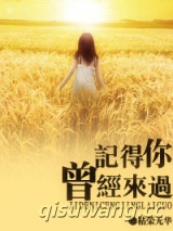 记得你曾经来过小说