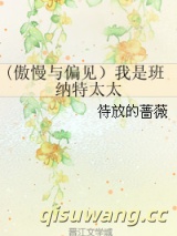 我是班纳特太太小说