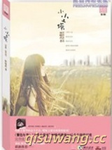 小尘埃（出书版）小说