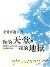 你的天堂，我的地狱小说