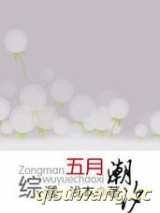 [综漫]五月潮汐小说