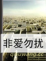 非爱勿扰小说