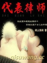 代表律师小说
