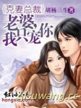克妻总裁：老婆，我只宠你小说
