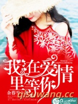 我在爱情里等你小说