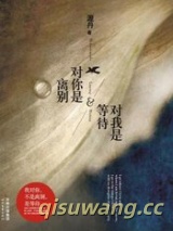 对你是离别，对我是等待小说