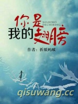 你是我的翅膀（军旅）小说