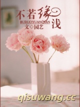 不若缘浅小说