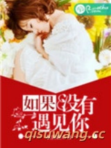 如果没有遇见你小说
